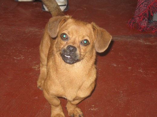 Aqui estoy posando para mi familia y mi futura nueva novia ... te animas